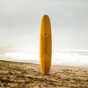 Longboard Druide