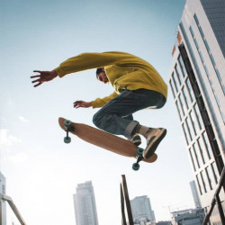 Longboard Racoon 32VS